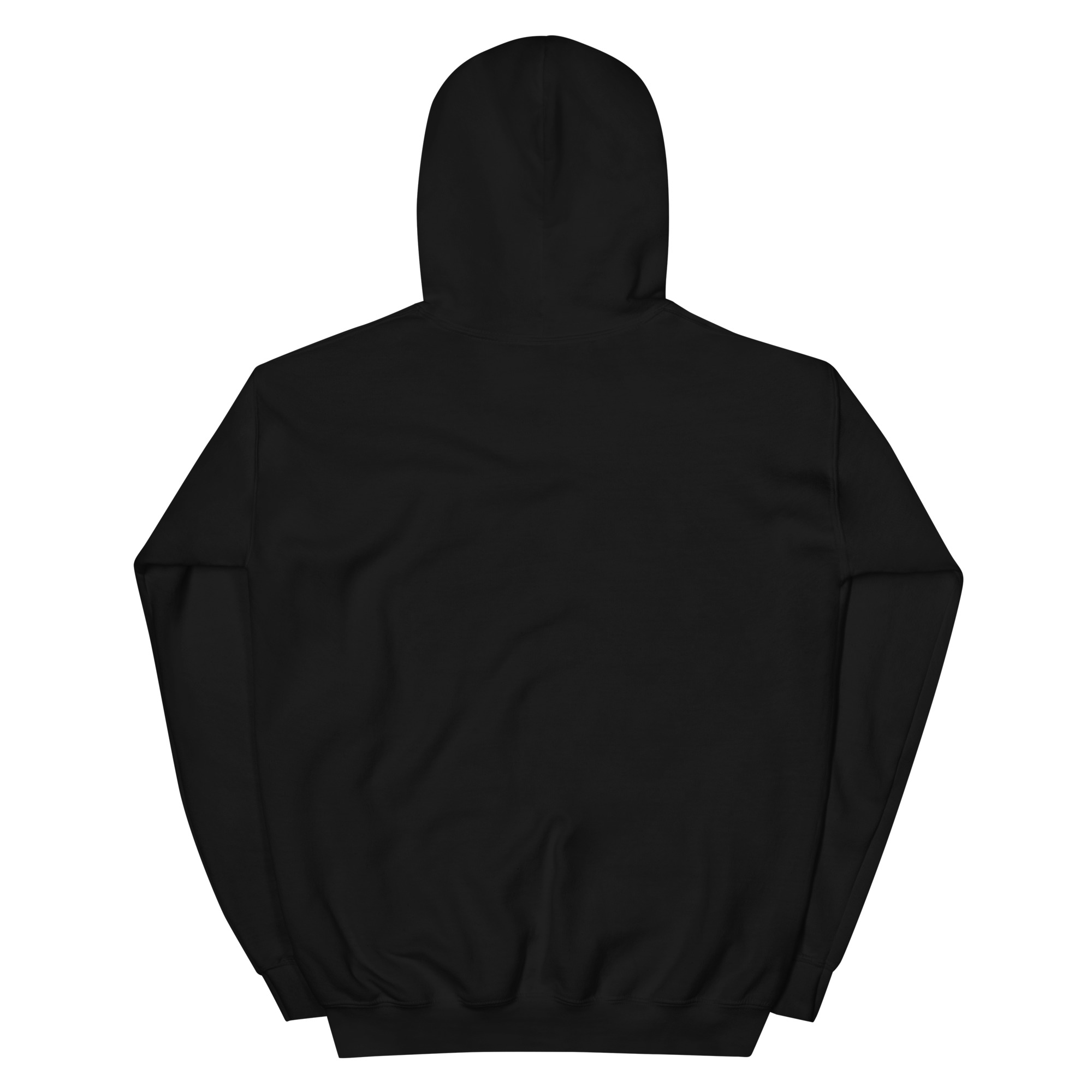 unisex-heavy-blend-hoodie-black-back-6810e044607fa.jpg